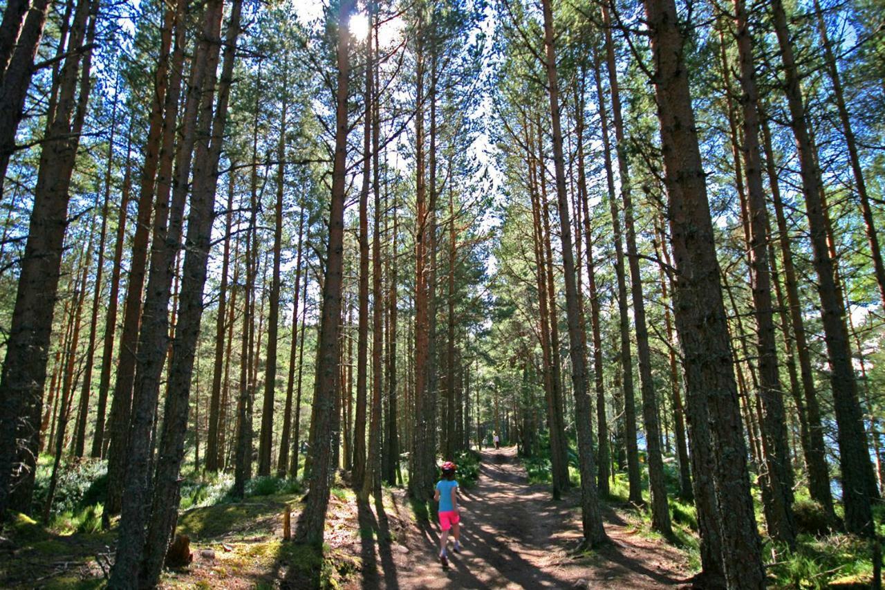 Tigh Na Lochan Aviemore Exterior foto